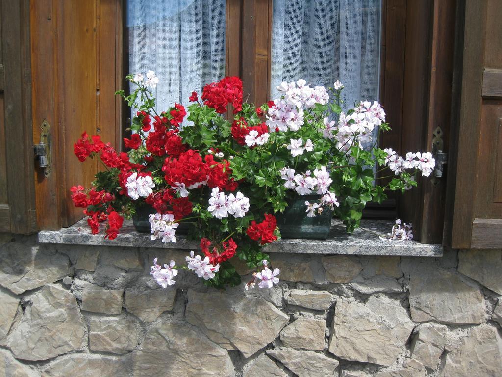 Ferienwohnung Baita Al Pian Bormio Exterior foto